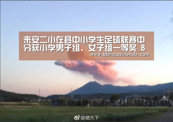 来安二小在县中小学生足球联赛中 分获小学男子组、女子组一等奖_BBIN入口,BBIN登录,BBIN国际厅,BBIN下载(图3) BBIN入口,BBIN登录,BBIN国际厅,BBIN下载