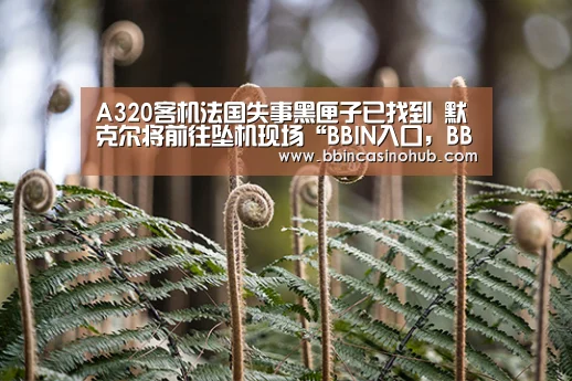 BBIN入口，BBIN登录，BBIN国际厅，BBIN下载