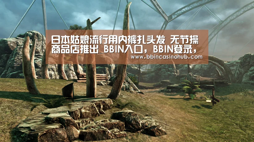 BBIN入口，BBIN登录，BBIN国际厅，BBIN下载