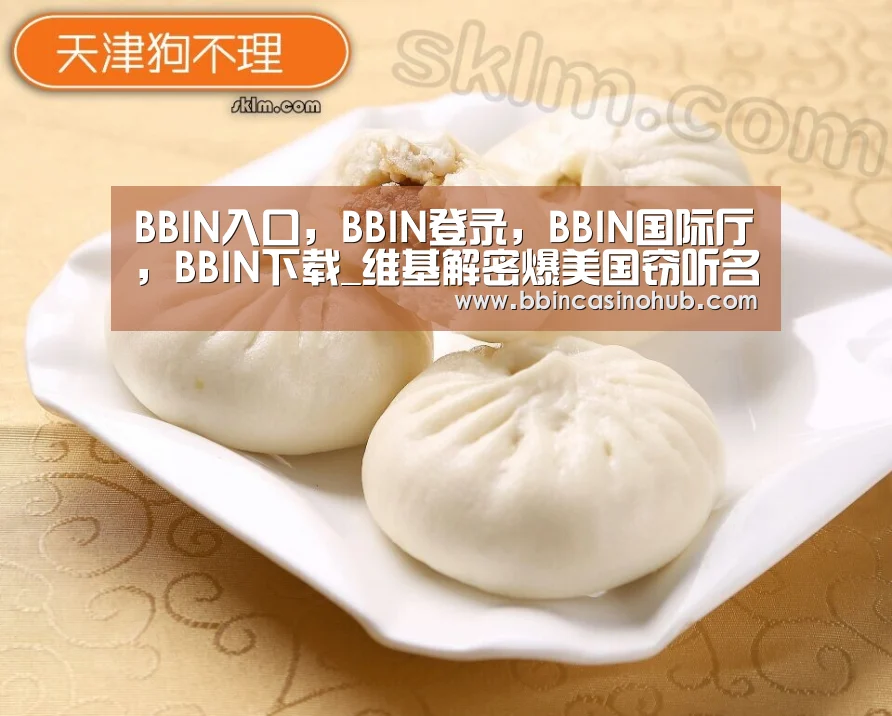 BBIN入口,BBIN登录,BBIN国际厅,BBIN下载_维基解密爆美国窃听名单 含多名世界主要领导人(图3) BBIN入口,BBIN登录,BBIN国际厅,BBIN下载