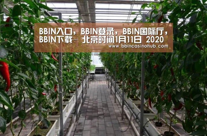 BBIN入口，BBIN登录，BBIN国际厅，BBIN下载