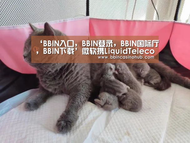 BBIN入口，BBIN登录，BBIN国际厅，BBIN下载
