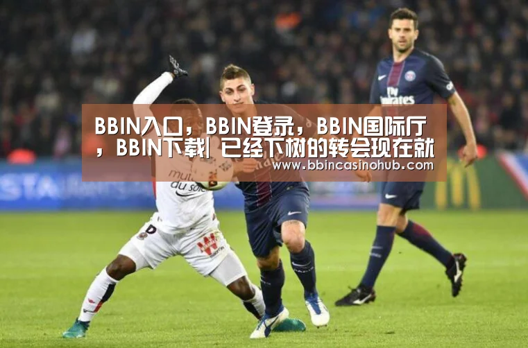 BBIN入口,BBIN登录,BBIN国际厅,BBIN下载|
已经下树的转会现在就这些 2020中甲转会汇总(图2) BBIN入口,BBIN登录,BBIN国际厅,BBIN下载