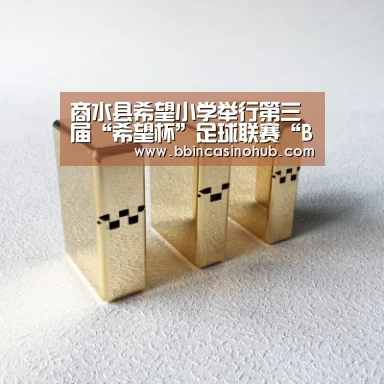 商水县希望小学举行第三届“希望杯”足球联赛“BBIN入口,BBIN登录,BBIN国际厅,BBIN下载”(图1) BBIN入口,BBIN登录,BBIN国际厅,BBIN下载