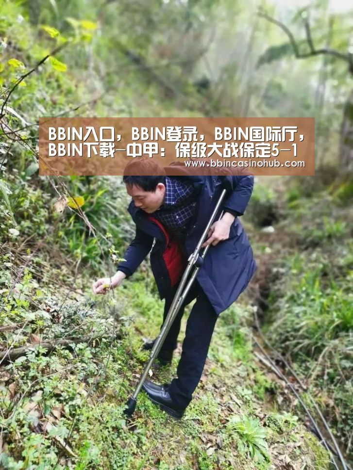 BBIN入口，BBIN登录，BBIN国际厅，BBIN下载