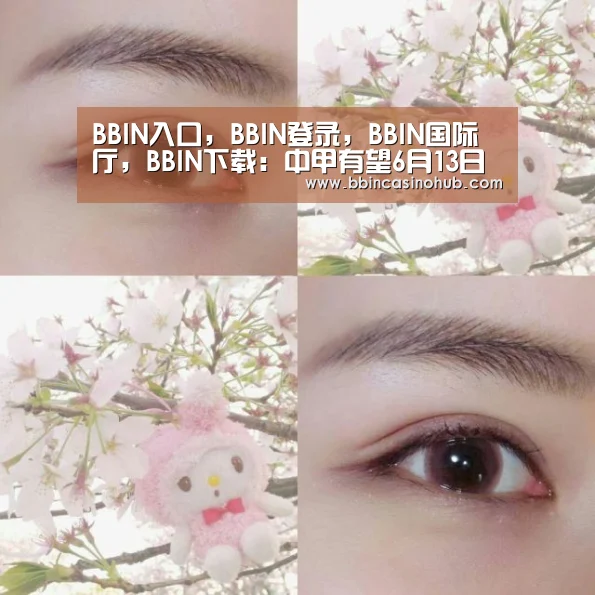 BBIN入口，BBIN登录，BBIN国际厅，BBIN下载